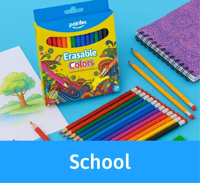 School Category
