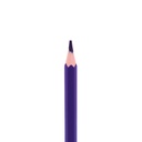 COLORED PENCILS, ERASABLE , SET OF 12 COLORS