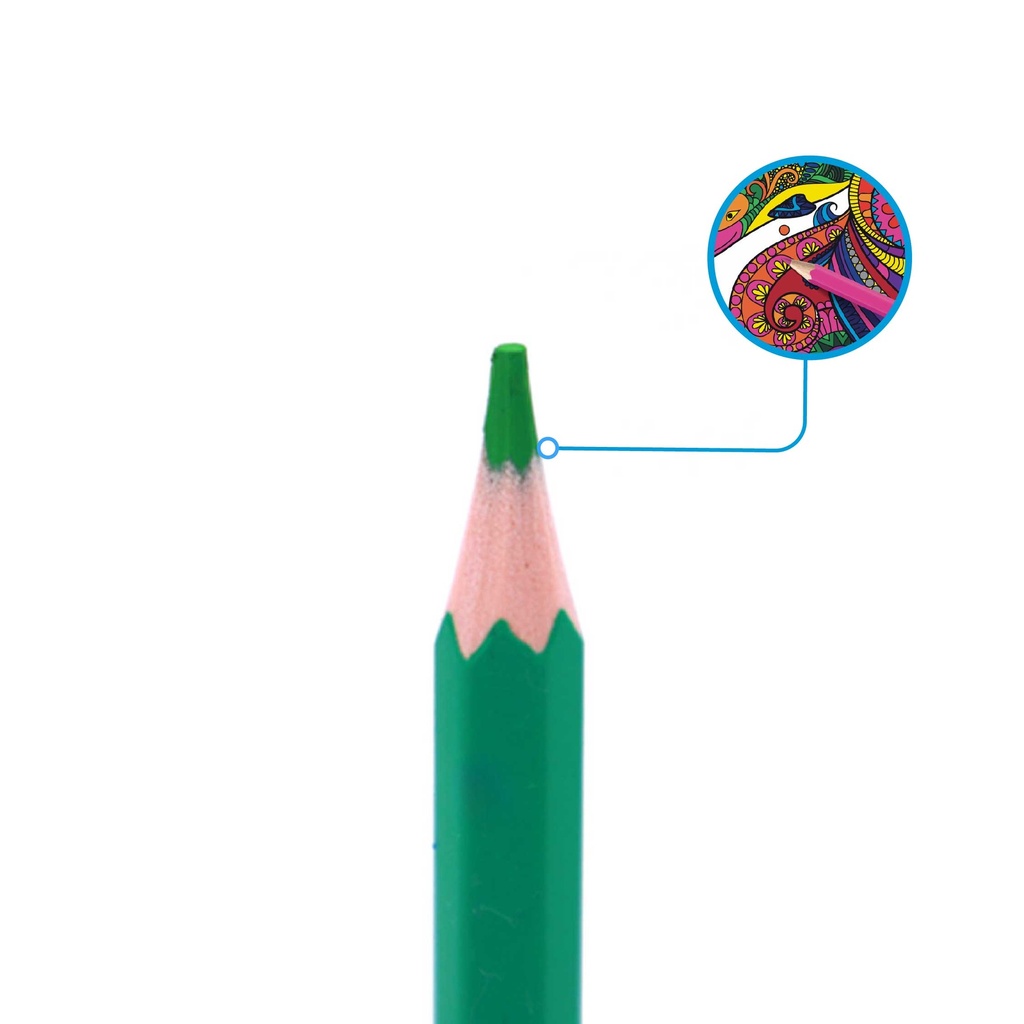 COLORED PENCILS, ERASABLE , SET OF 24 COLORS