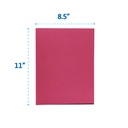 CARDSTOCK, COLORED, LETTER SIZE, 10 ASSORTED COLORS, 180 G/M², BAG OF 100 SHEETS
