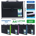 EXPANDING ORGANIZER FILE FOLDER A4, 13 POCKETS WITH BUCKLE CLOSURE AND HANDLE, 1 PIECE