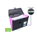 EXPANDING ORGANIZER FILE FOLDER A4, 13 POCKETS WITH BUCKLE CLOSURE AND HANDLE, 1 PIECE