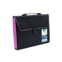 EXPANDING ORGANIZER FILE FOLDER A4, 13 POCKETS WITH BUCKLE CLOSURE AND HANDLE, 1 PIECE