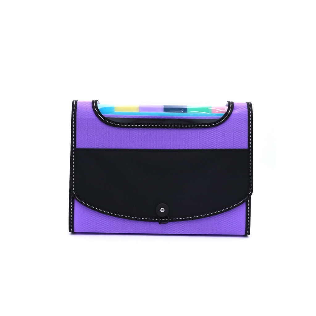 EXPANDING ORGANIZER FILE FOLDER A4, 13 POCKETS WITH CLEAR VIEW TOP AND ELASTIC BAND CLOSURE, 1 PIECE