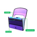 EXPANDING ORGANIZER FILE FOLDER A4, 13 POCKETS WITH CLEAR VIEW TOP AND ELASTIC BAND CLOSURE, 1 PIECE