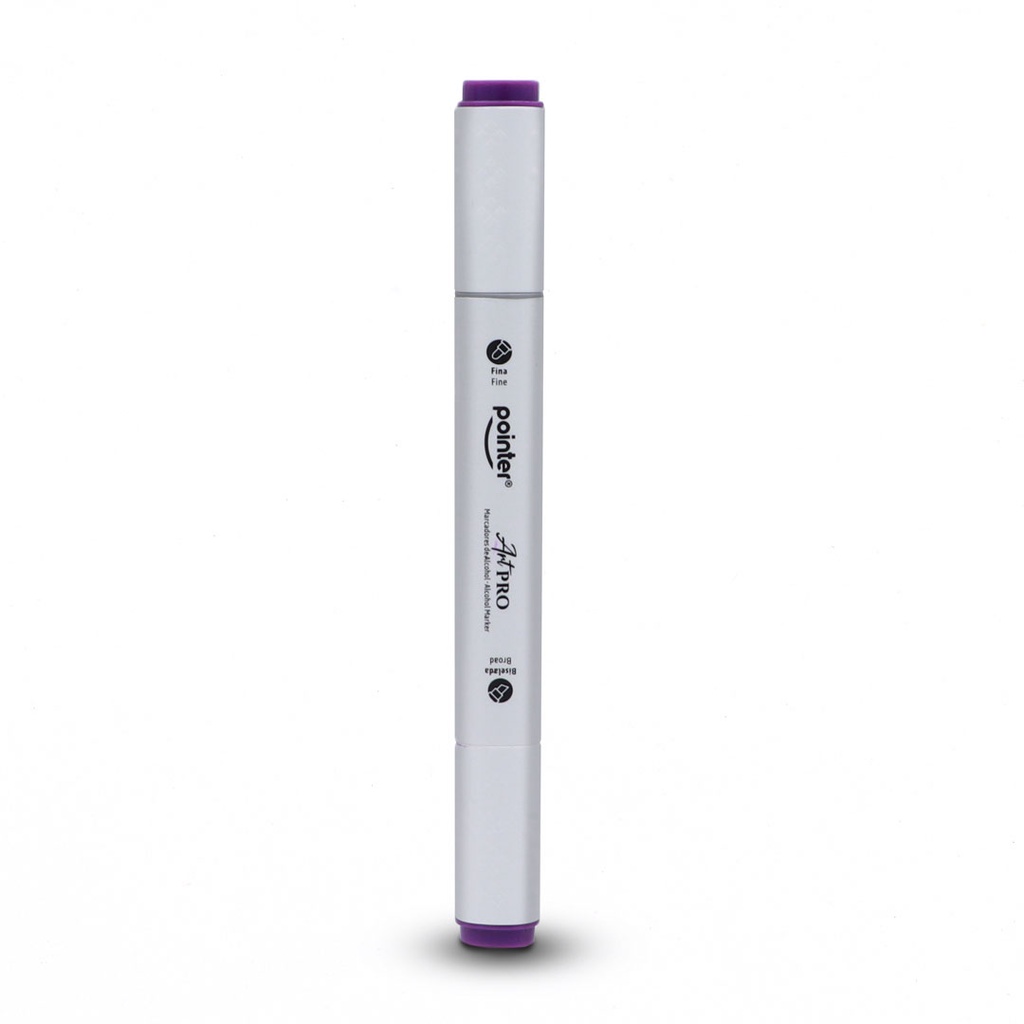 DUAL TIP ALCOHOL-BASED INK MARKERS WITH PLASTIC CASE, SET OF 12 COLORS 