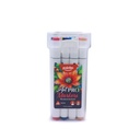 DUAL TIP ALCOHOL-BASED INK MARKERS WITH PLASTIC CASE, SET OF 12 COLORS 